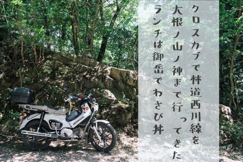 景色最高！【奥多摩】クロスカブで行く林道西川線～大根ノ山ノ神 – ふ