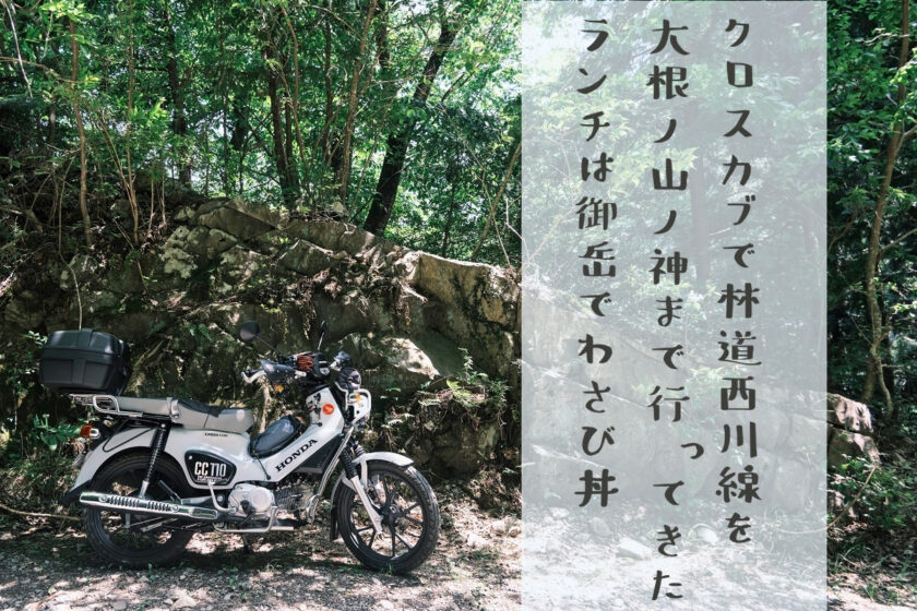 奥多摩 林道西川線 クロスカブ
