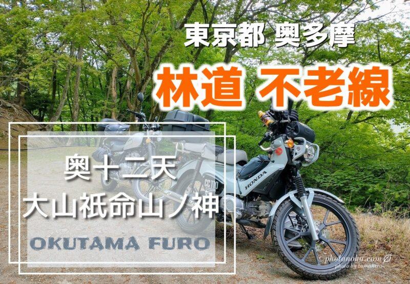 furo00-800x555.jpg?v=1690175184
