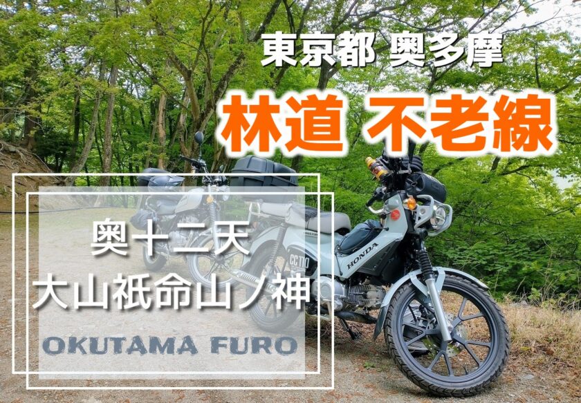 奥多摩 林道 不老線