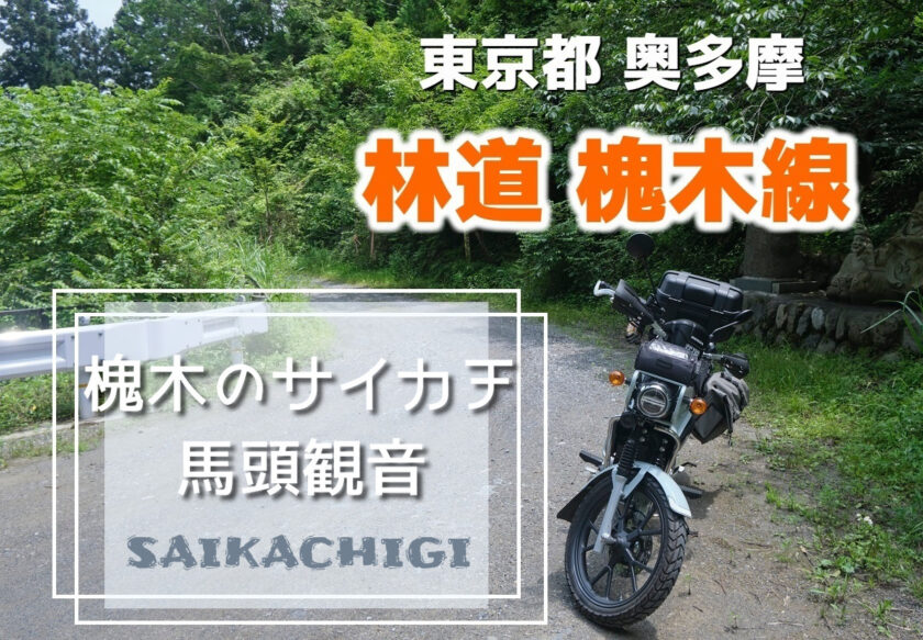 奥多摩【林道 槐木線】槐木のサイカチと馬頭観音 クロスカブツーリング